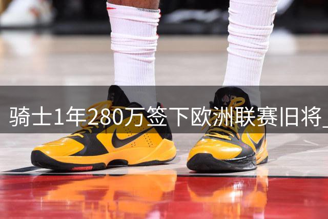 骑士1年280万签下欧洲联赛旧将 海佐尼亚6年后重返NBA